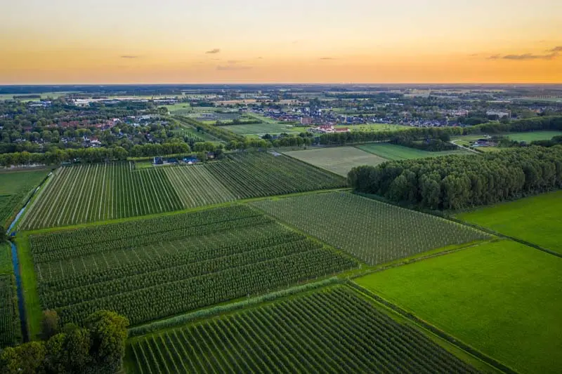 Gelderland Landschaft