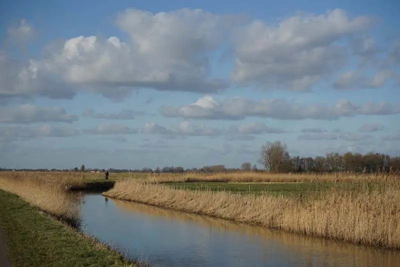 Landschaft Wageningen