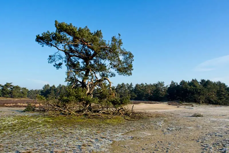 Nationalpark Otterlo