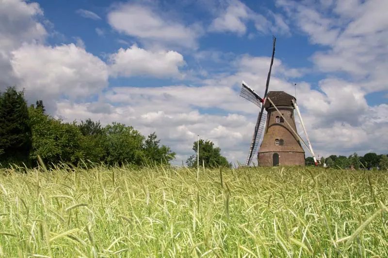 Windmühle Berkeland