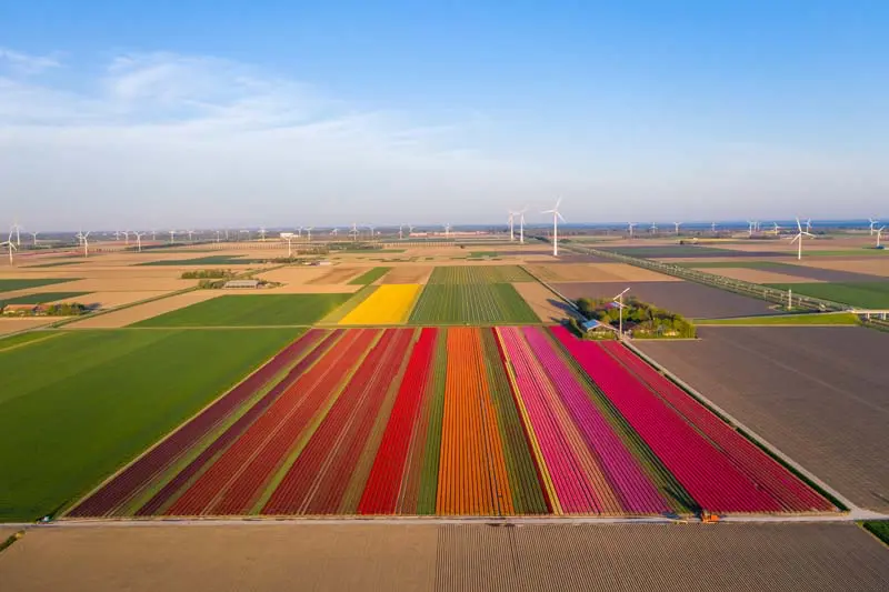 Dronten Landschaft