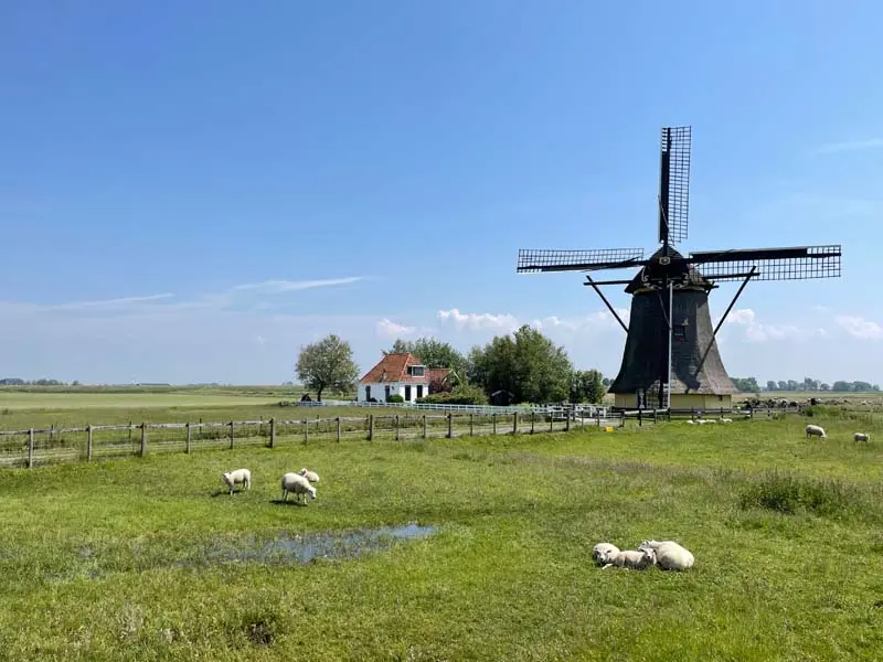 Windmühle Workum